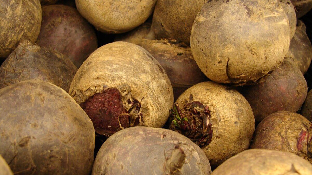 ��� ��������� ������� �����