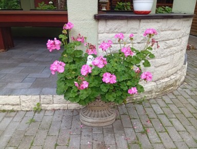 ��� ����� ������� ��� ������: ���� �� ����� ������