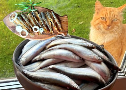 �������: �������������� ���������, ������� ����� �����������