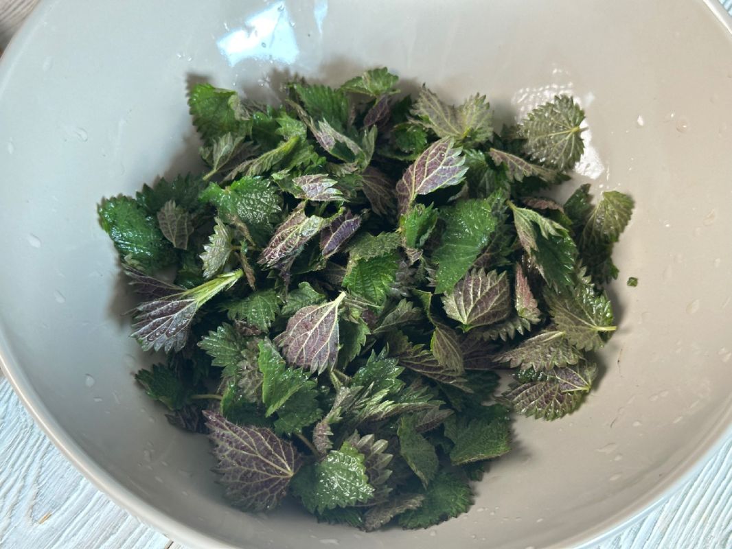 ��� ������������ ������� �������: ������� � ������ �� �����