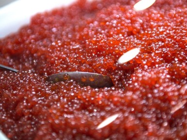 ����� �������� ������� ����: ������ ������������ �� ��������������