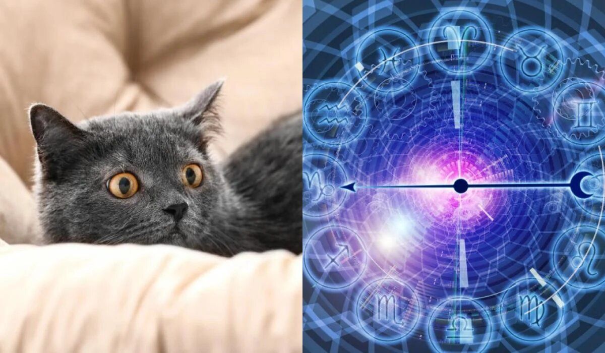 ����� ��� ����� ������������� ������ ����� �������?