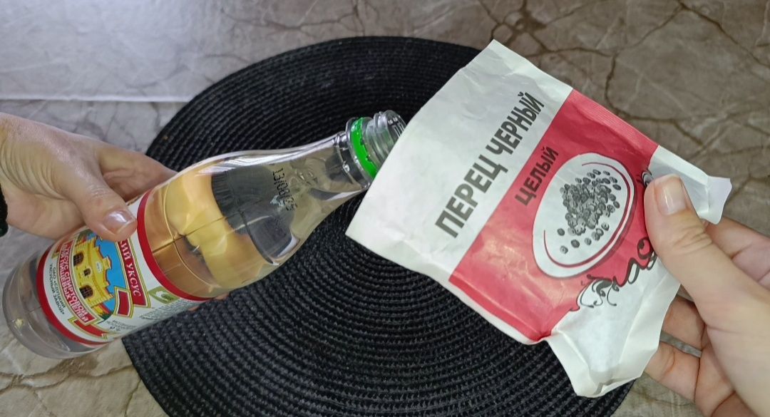 ����� � �����: ����������� ������ ��� ���������� ����