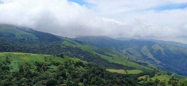 Фильтр-кофе и масала: индийская кофейная философия в каждой чашке