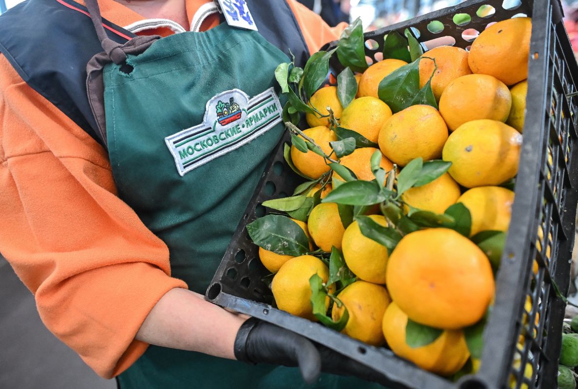 � ���������� �������� ��������� ����� ����������