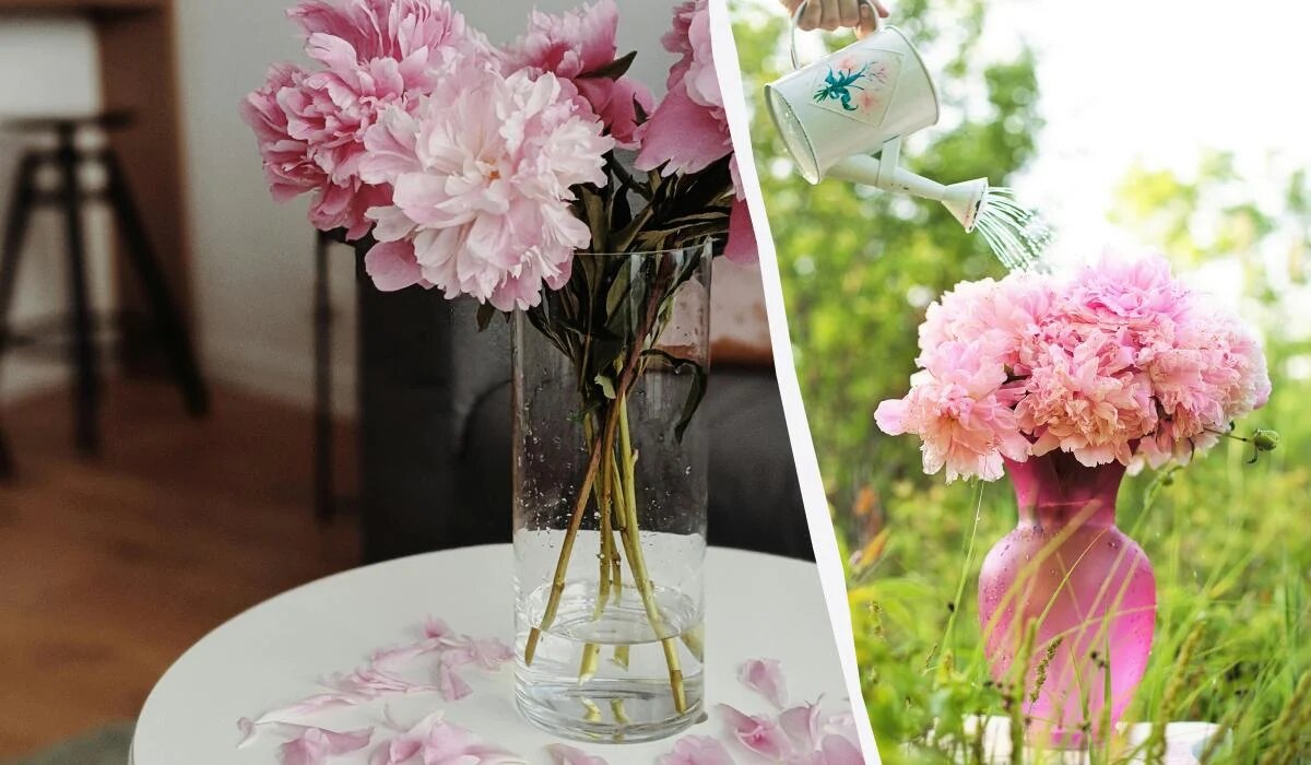 Как сохранить свежесть пионов в вазе: советы флористов