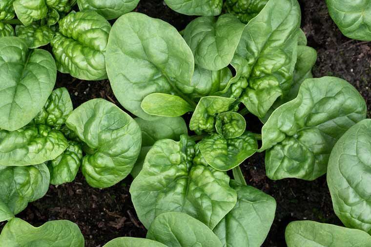 ������ ����� ��������� ������ � ����� ����