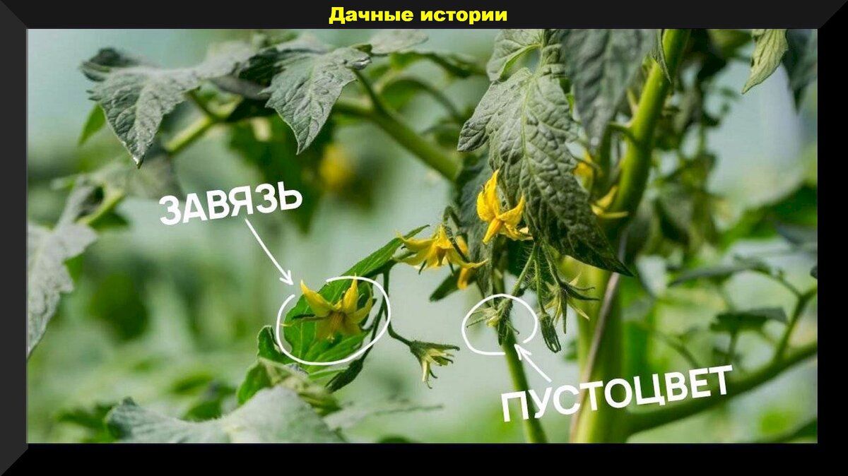 ��� �������� ������ �� ������� � ����� �������: ������ ��� ��������