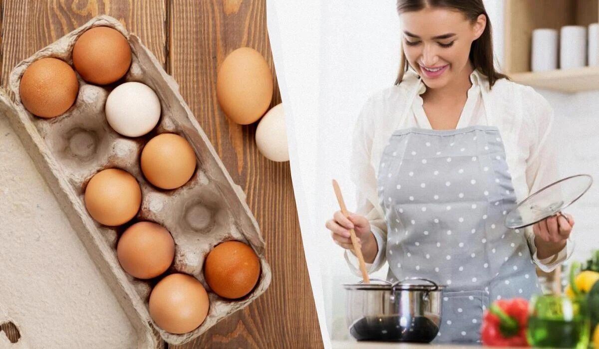 ������ ����� ��������� ���� ��� ����� ���: �������� ������