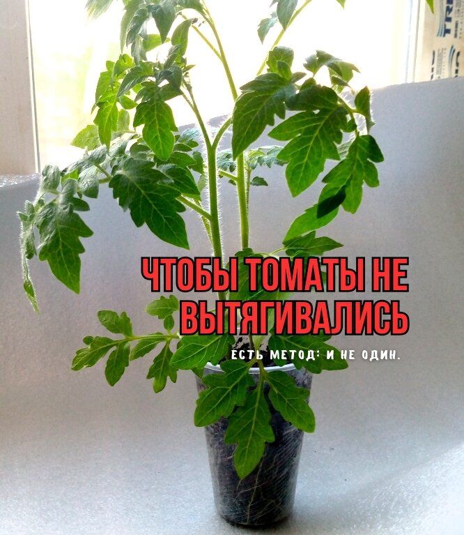 ��� �������� ����������� ������� �������: ������ ��� ���������