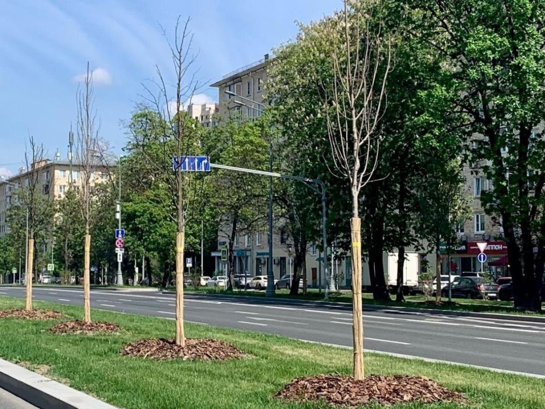 ������� ������� ��������: ������ ����� ������ � ����� ��������