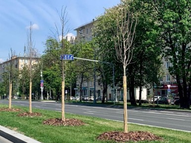 ������� ������� ��������: ������ ����� ������ � ����� ��������