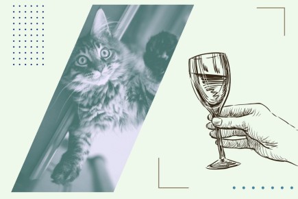 ��������� ����� ����? 6 ������� ������, ����� ������ �� ��������� �������