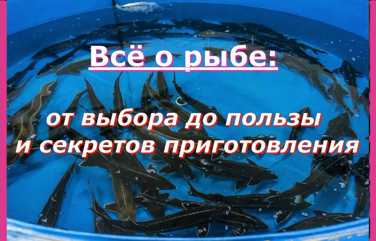 ������ ����: ������ �� ������, �������� � ���������