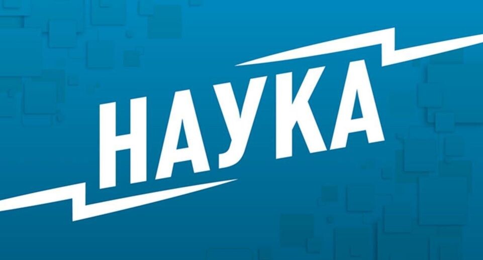 Уникальный метод выявления поддельного виски: революция в пищевой безопасности