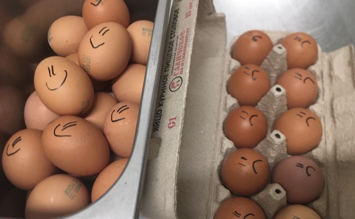 ���� ��� ��������: ������ ��������� �� �������� �������� ������