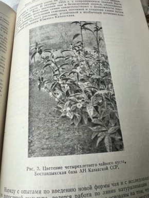 ������ ������������ � ����������: �� �������������� ������ �� �����������