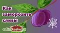 Проверенные способы заморозки слив на зиму
