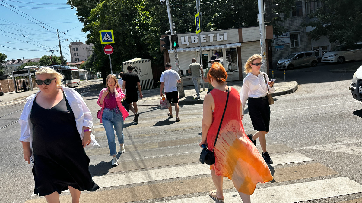 Когда ноябрь дарит грибы: секреты краснодарского леса