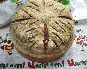 ������ ����� ����������� ������ �������� ���� �� ��������