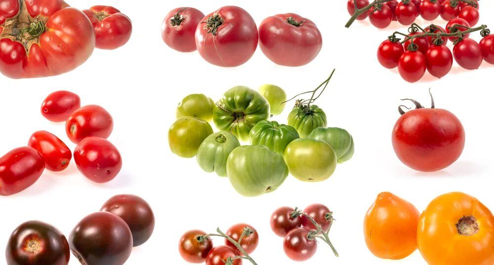 ��� ������� ��������� ��������: ������ �� ��������