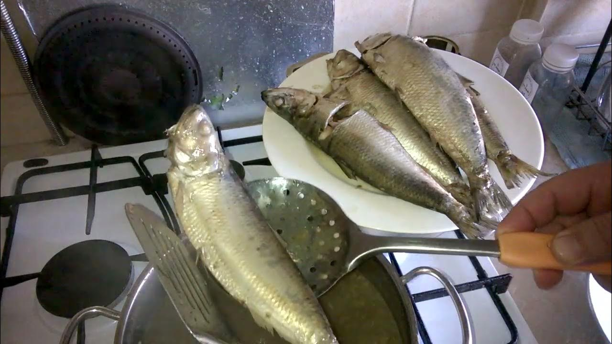 Сосуды отдыхают: три ужина для снижения холестерина