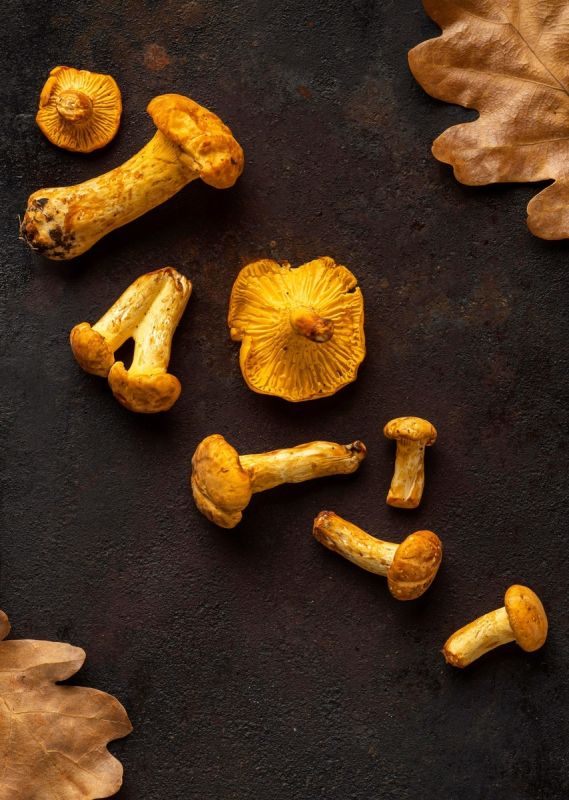 �������: �������� �������� � ������ �� �������������