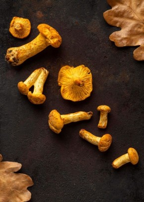 �������: �������� �������� � ������ �� �������������