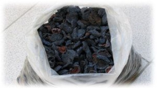 ������ �� �������� ����������: ��� ��������� ���� � ������