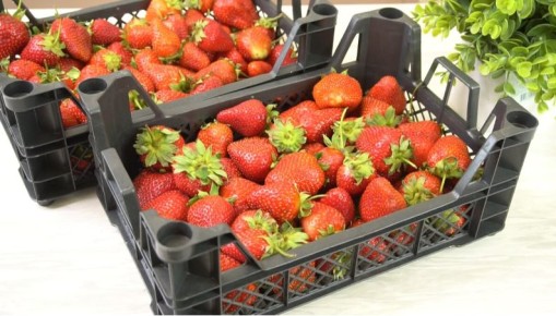 ������ ��������: ��� ����������� ��������, ����� ������ ��� � ������