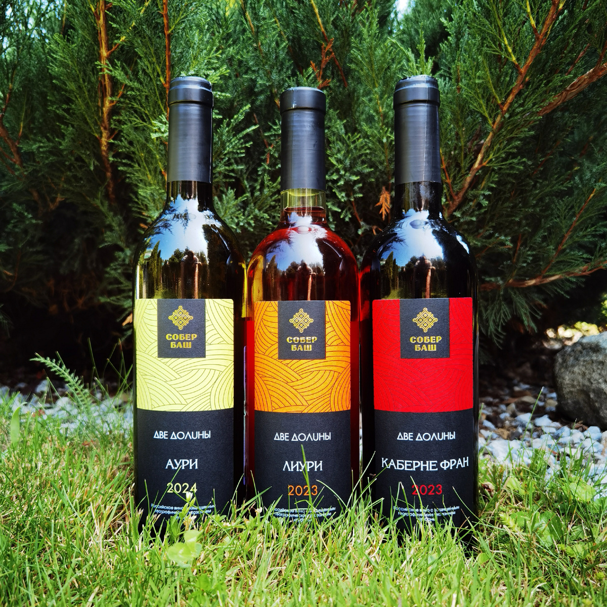 Уникальные открытия: бюджеты и новинки «Две долины» от Собер Баш в сети «Красное и Белое»