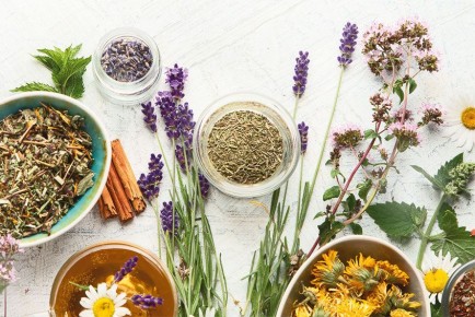 ����� ������� ���������� ���������� �������