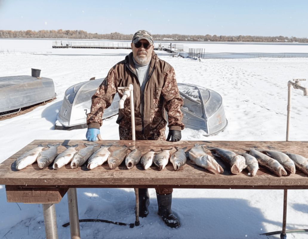 ������������ ������ 2026 �������� ��� ������