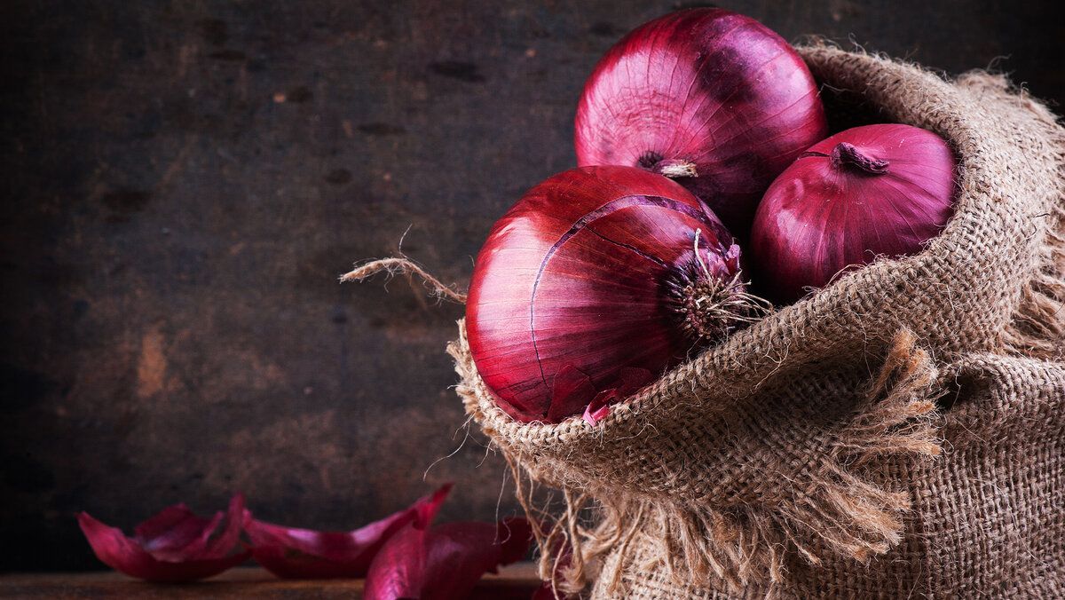 ��� ������� ��� ����� ����� ����� ������ ������ ��� ��������