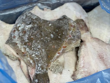 ������� ������������: ������ ���� �� �������� ����