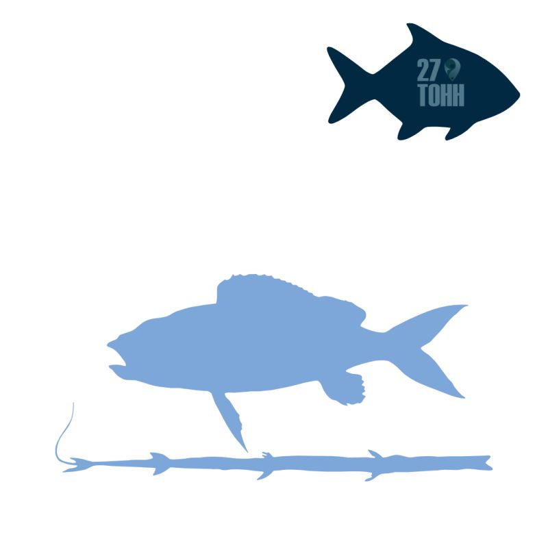 ������� �������� �������� �� ������ �����: ��� ������������ ���������� � ����� ���������