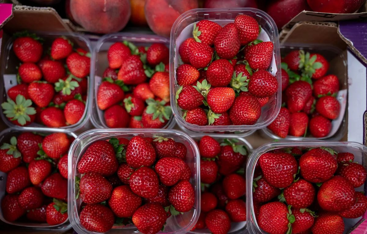 ������ ������: ����� �������� ������� ��� �� ������ ��������� ������