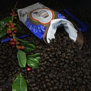 10 ������ ����, ������� ������ ���� ����� �������������� ���������