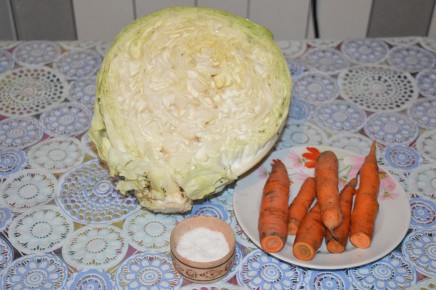 Квашеная капуста с морковью: быстрый и вкусный рецепт на любой стол