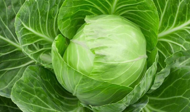 ��������� ������ ������������ ������� � ������ �� ����