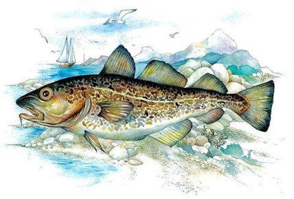 ��� ������ ������� ������: ������� � �������� �������� �����