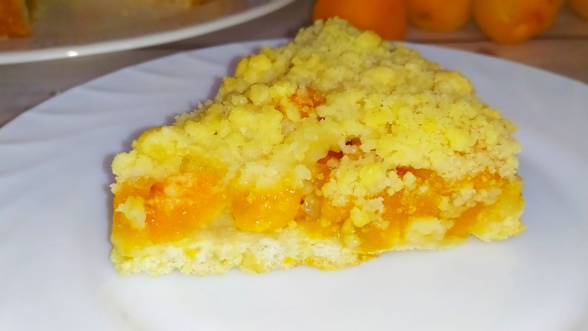 ������ ����� � ����������: ������� ����������� � ������ �������