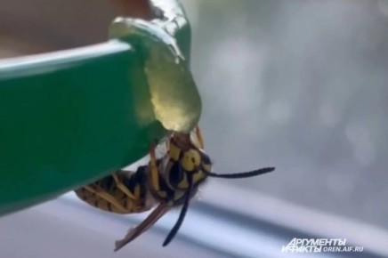 � ���������� �������� ������� ������ ���� � ������ ��-��� ��������