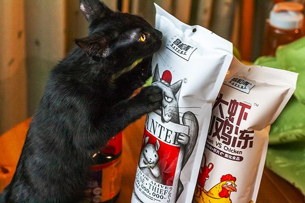 ���������� �������: 10 ������������, ������� ������� ���� ����� �� ��������� ���