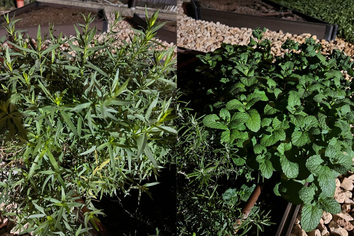 ��������� �������: ��� ���������� ����� � ������ � �������� ����������