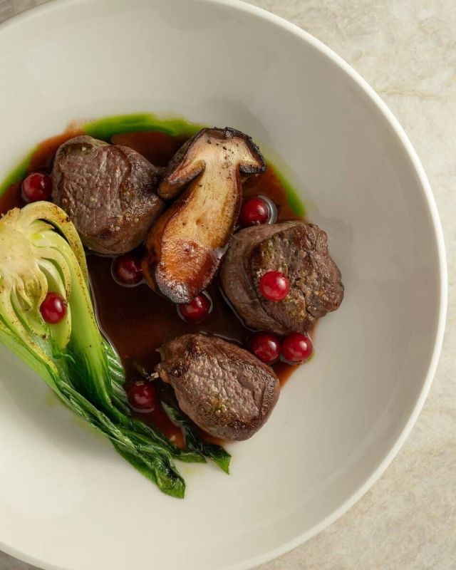 ������������� ���� �� Novikov Group: ��������� ����� ���������������� ���������