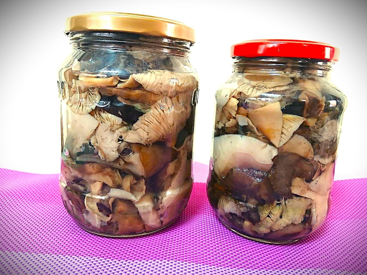 Изысканные лесные грибы: как приготовить маринованное ассорти
