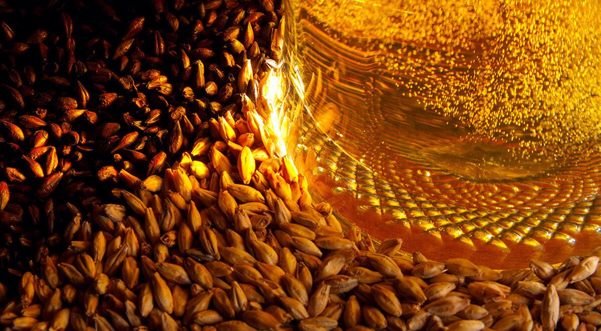 ���������� �����������: �� ��������� � �������������