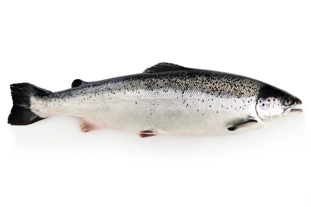 ������: ���������� ����� � ����� ������ ����� ����