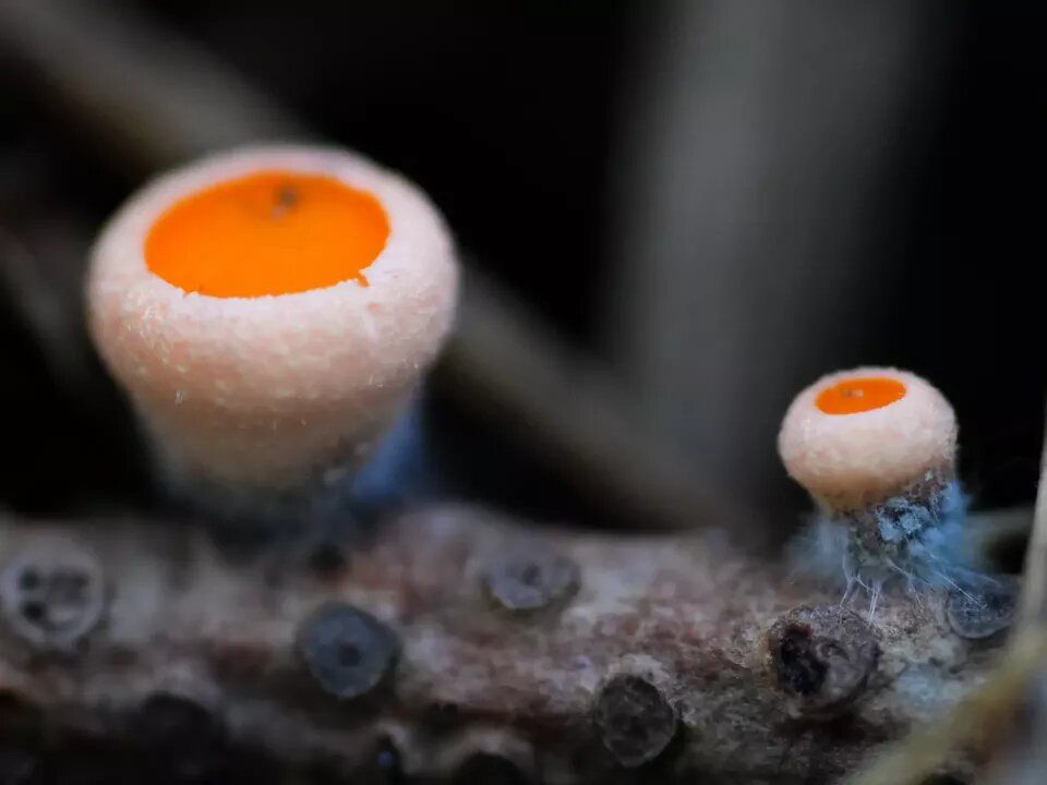 ������ �������� ����� ��������� �� ������ ��������� �����